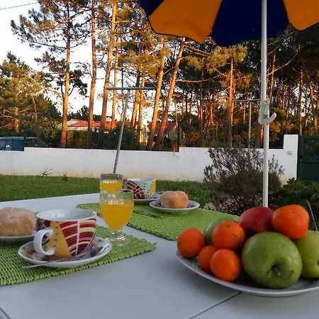 Casinha Dos Avos * Rogil